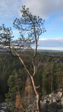 Рысья гора (ночёвка в доме с баней)