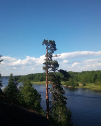 Прогулка вокруг парка Монрепо на каяках (байдарках)