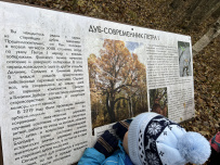 «У Лукоморья»: прогулка в сказку