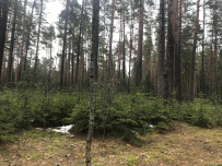Ночь в Партизанской пещере (с пещерным кинотеатром)