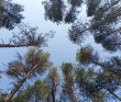 Сплав по реке Суна на байдарках
