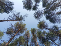 Сплав по реке Суна на байдарках