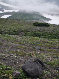Всё и сразу на Камчатке (мультитур налегке)