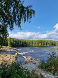 Сплав по реке Шуя