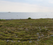 Белое море на морских каяках (байдарках): Карельский берег