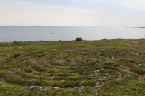 Белое море на морских каяках (байдарках): Карельский берег