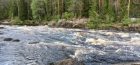 Сплав по реке Шуя
