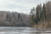 Сплав по реке Мста (на майские)