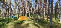 Чудесная Карелия. Мультипоход с детьми PRO