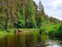 Сплав на байдарках по реке Нерская с баней на берегу и автосопровождением