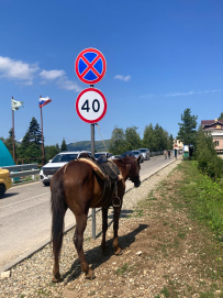 Мультитур в Адыгее с детьми