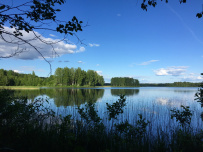 Валдайская тропа (пеший поход)