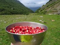 Красоты Безенги