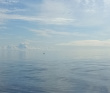 Сплав по реке Воньга и Белое Море на байдарках