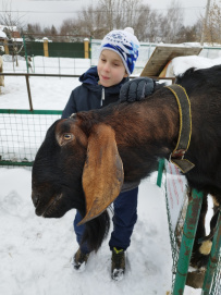 Однодневный поход «Путешествие к подлодке через ферму»