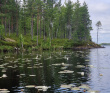 Сплав по реке Воньга и Белое Море на байдарках