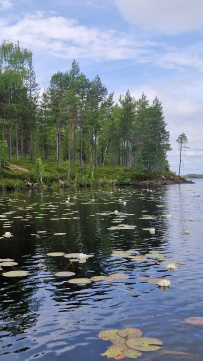 Сплав по реке Воньга и Белое Море на байдарках