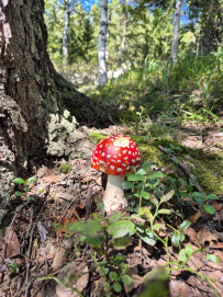 По следам Хозяйки Медной горы: поход с детьми (пеший+сплав)