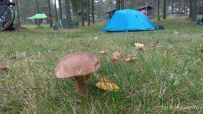 Очарованные Финляндией (велопоход)