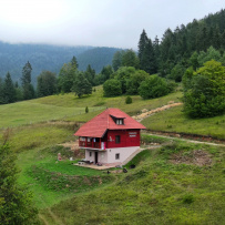 Великий горный край: природа западной Сербии (треккинг-тур в национальный парк Тара)
