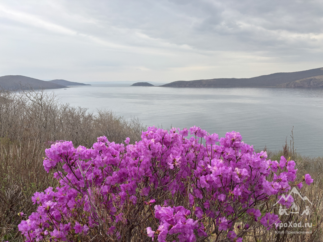 Фото из отзыва участника