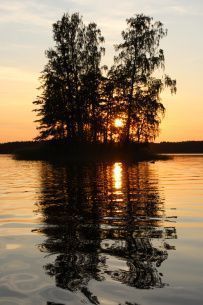Водное ассорти с детьми: на лодках, байдарках, сапах