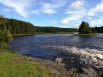 Сплав по реке Шуя