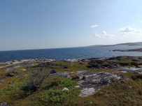 Сплав по реке Кереть и Белое море