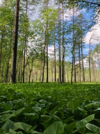 Пеший поход к сердцу Селигера