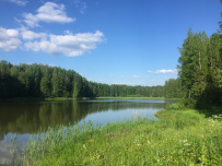 Валдайская тропа (пеший поход)