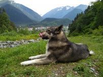 Горный лагерь в Архызе [Кавказ]