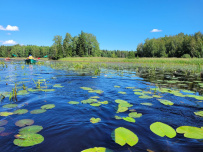 Водное ассорти с детьми: на лодках, байдарках, сапах