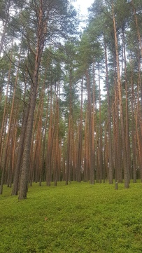 Пеший поход к сердцу Селигера