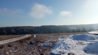 Однодневный пеший поход «Гремячий ключ» (Подмосковье)