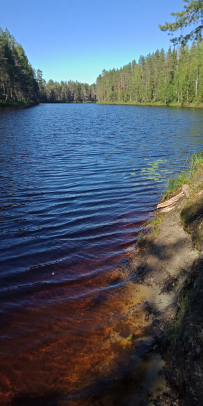 Сплав по реке Шуя
