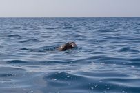 Турция на байдарках. По морю вдоль Ликийской тропы. Запад