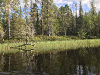 Колвица на морских каяках (байдарках). Путешествие на землю Саамов