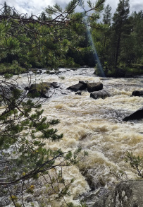Сплав по реке Кереть и Белое море
