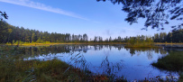 Велопоход из Покрова в Куровское