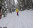 Лыжная тренировка в Ленобласти