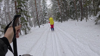 Лыжная тренировка в Ленобласти