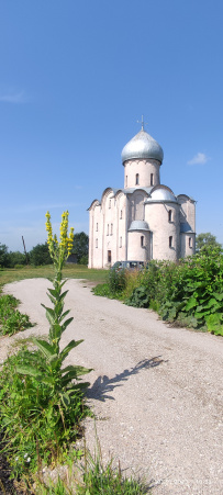 Дорогой новгородских купцов. Велопоход