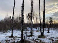 Красоты Мещёры с ночёвкой в тёплом доме (пеший поход)