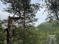 Горный лагерь в Хибинах