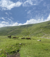 Красоты Безенги