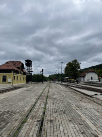 Великий горный край: природа западной Сербии (треккинг-тур в национальный парк Тара)