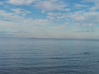 Сплав по реке Воньга и Белое Море на байдарках