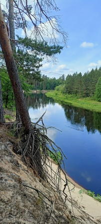 Сплав по реке Лух на байдарках с походной баней (Владимирская область)