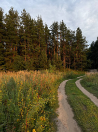 Поход на сапах по реке Клязьма с ночевкой в палатках с автосопровождением