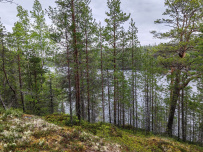 Сплав по реке Кереть и Белое море